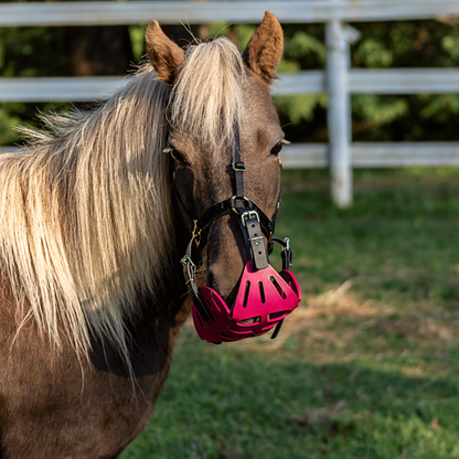 GreenGuard Mini &amp; Small Pony Halter