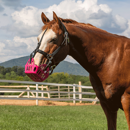GreenGuard Premium Breakaway Safety Halter