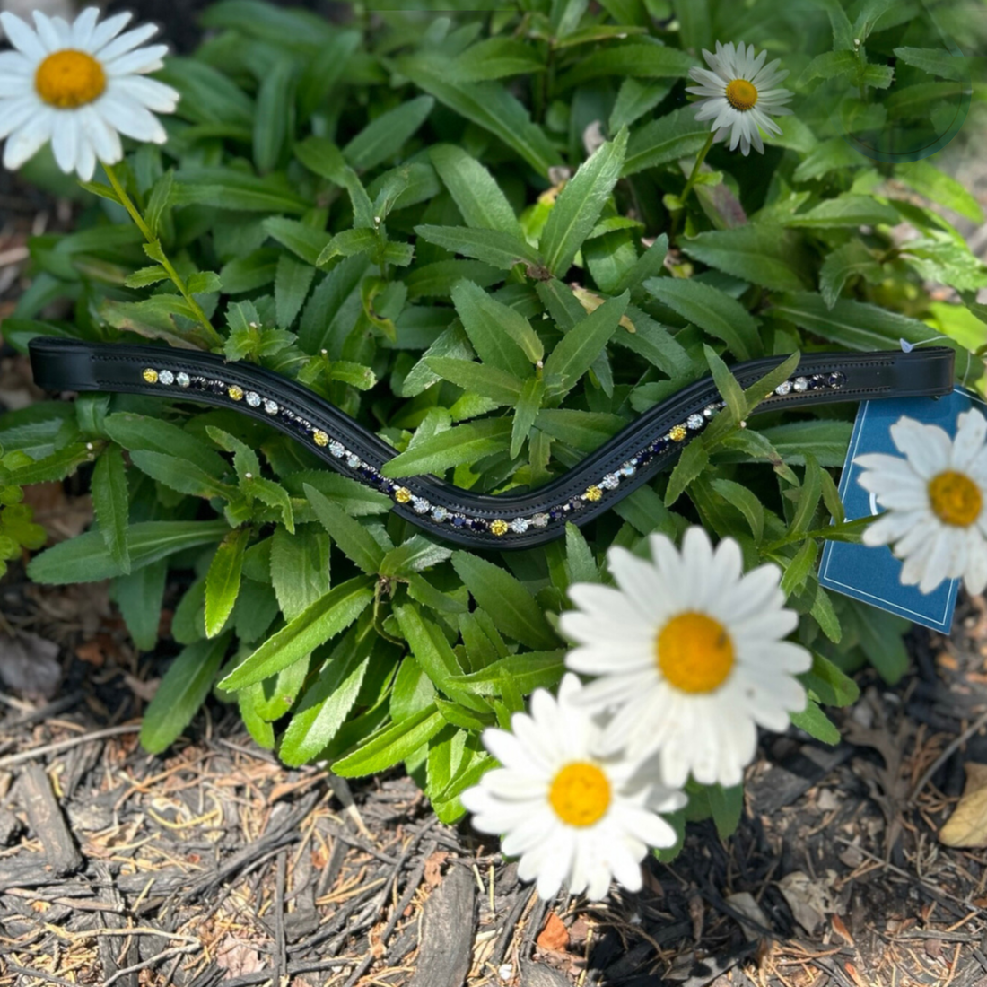 KL Select Curved So Van Gough Browband