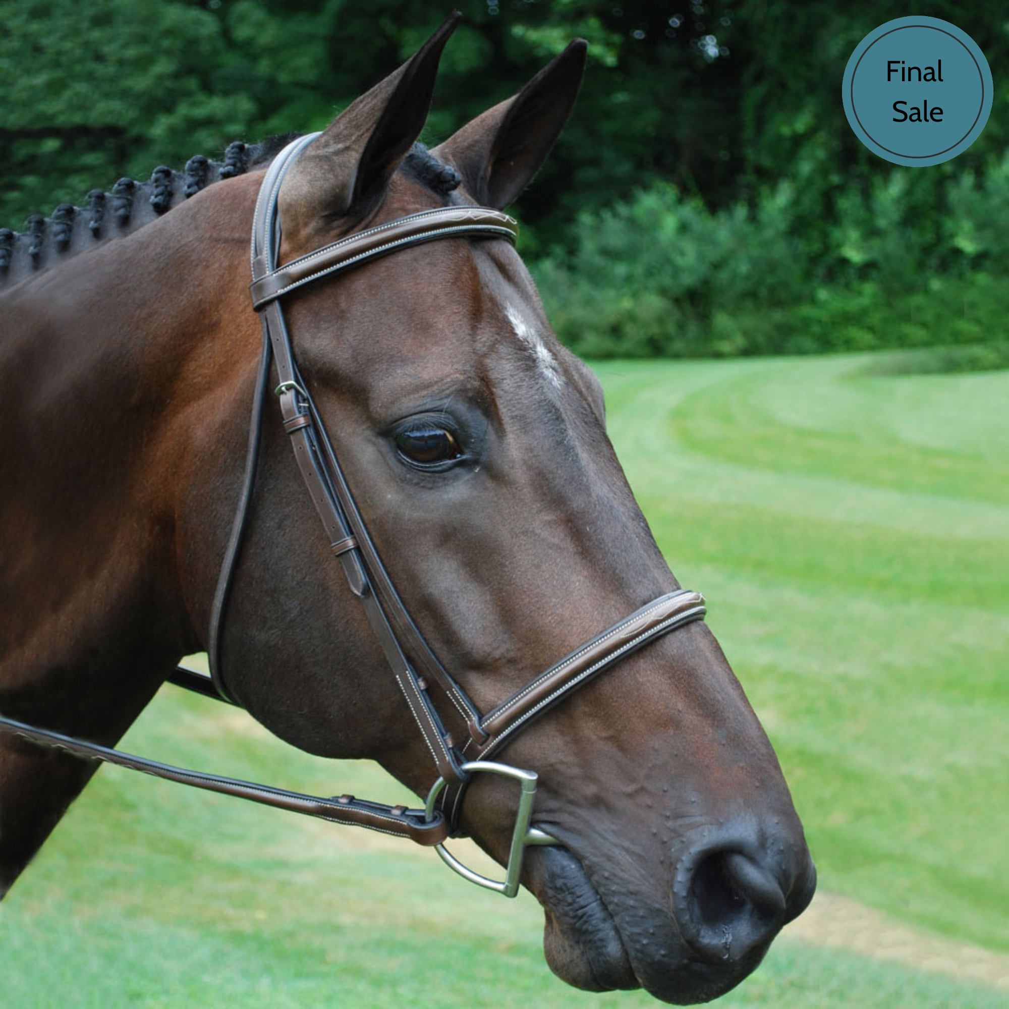 KL Select Venezia Hunter Bridle
