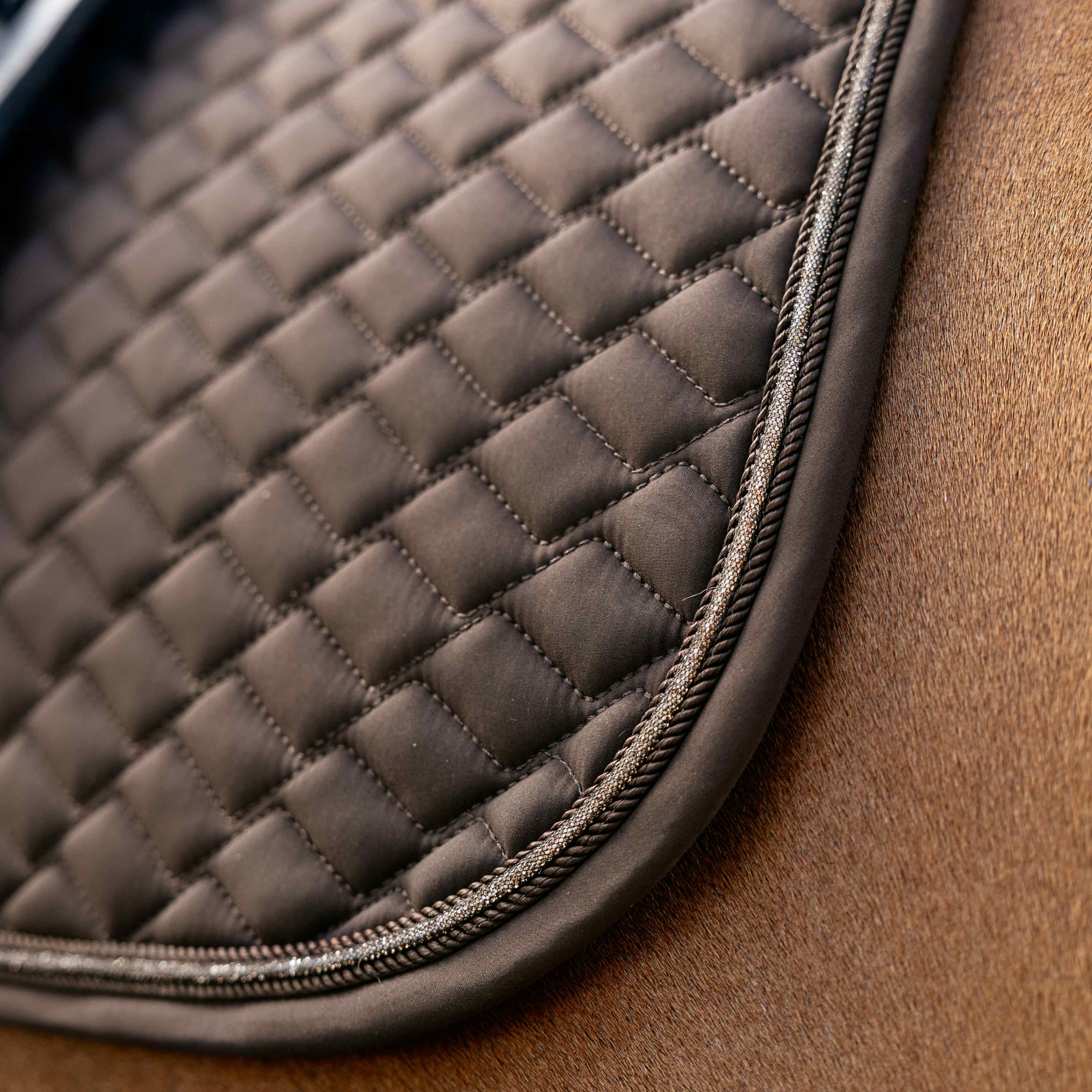 LeMieux Brilliance Dressage Square Pad, Espresso