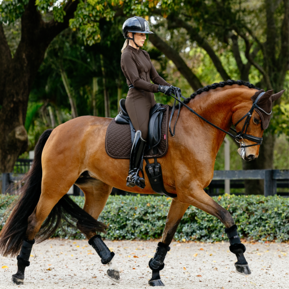 LeMieux Brilliance Dressage Square Pad, Espresso