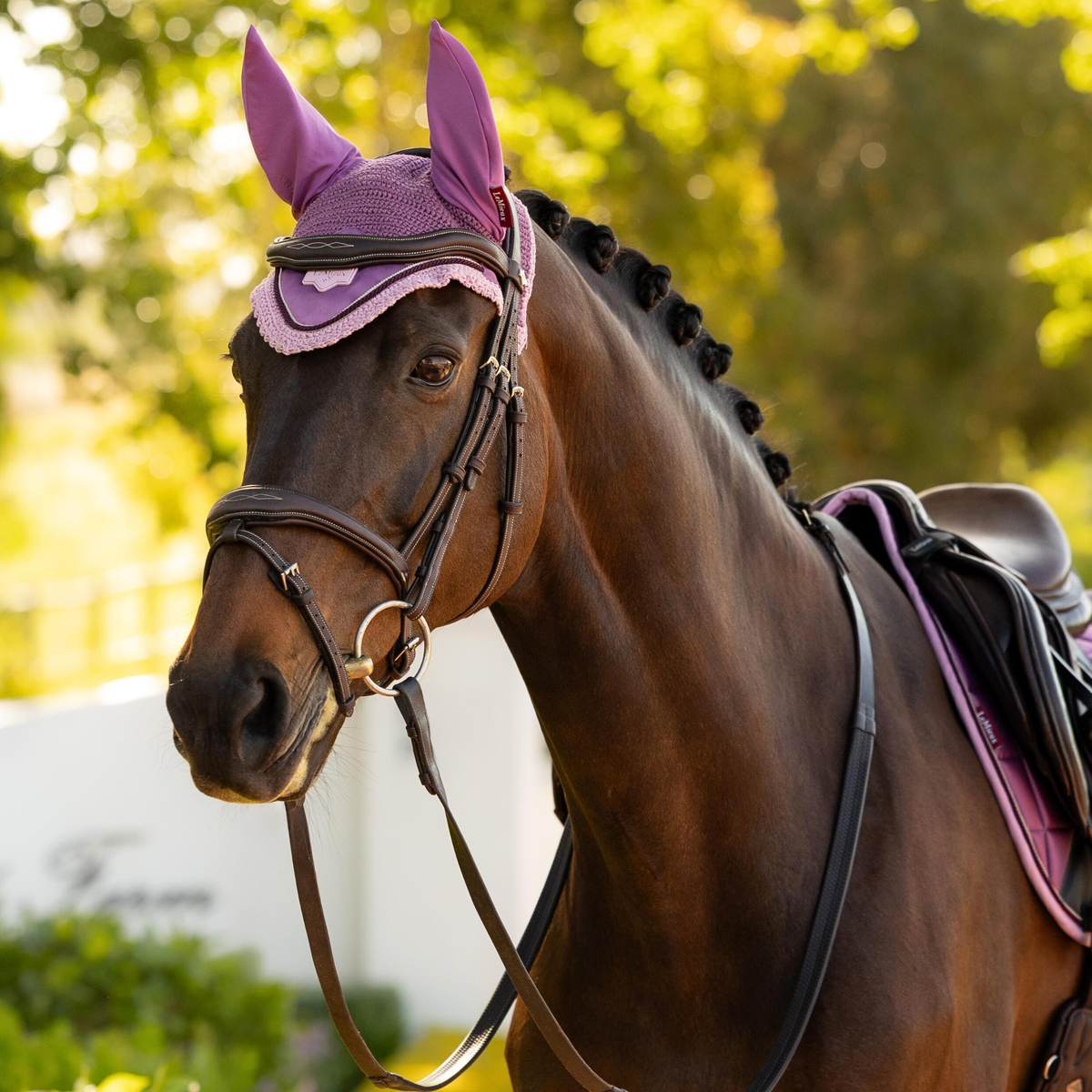 LeMieux Loire Ear Bonnet, Mallow