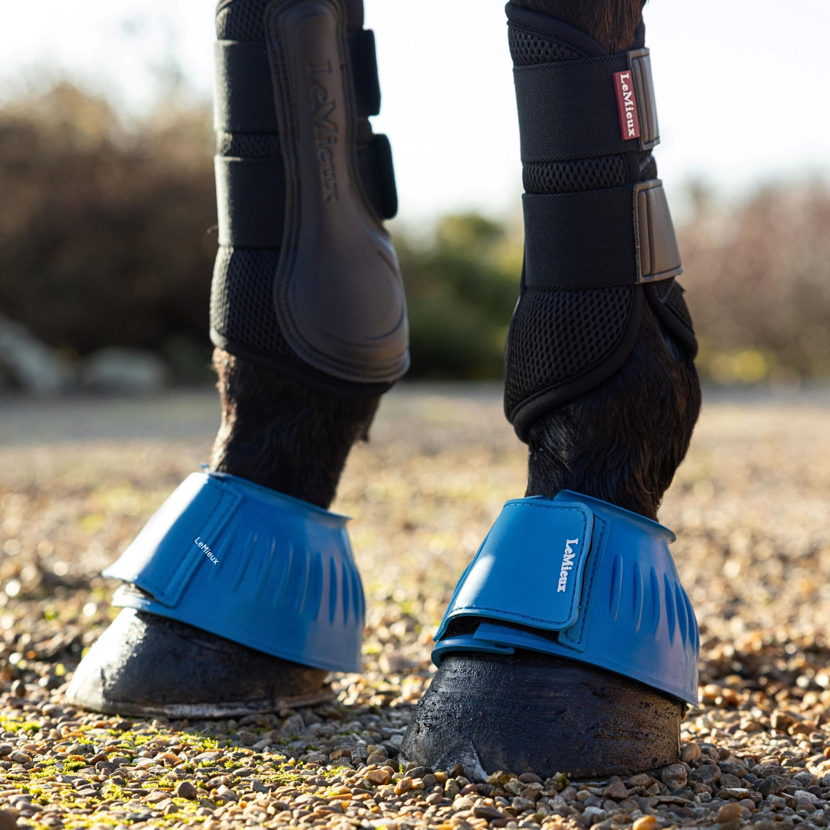 LeMieux Rubber Bell Boots, Benetton Blue
