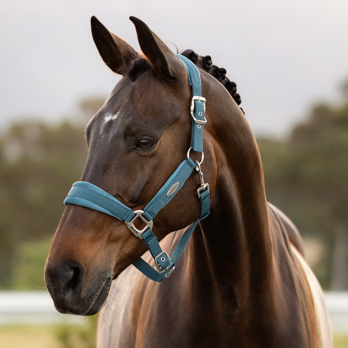 LeMieux Versailles Headcollar, Jungle