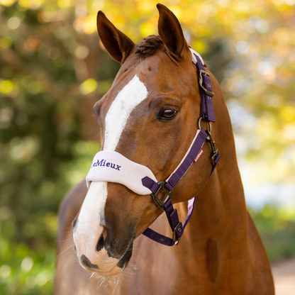 LeMieux Vogue Headcollar &amp; Leadrope, Juniper