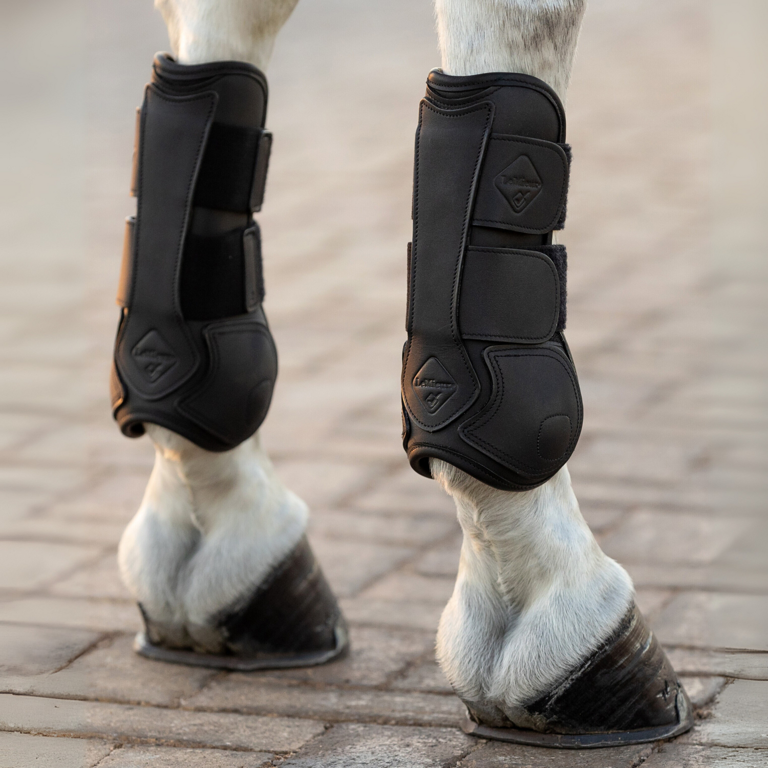 LeMieux Capella Tendon Boots, Black