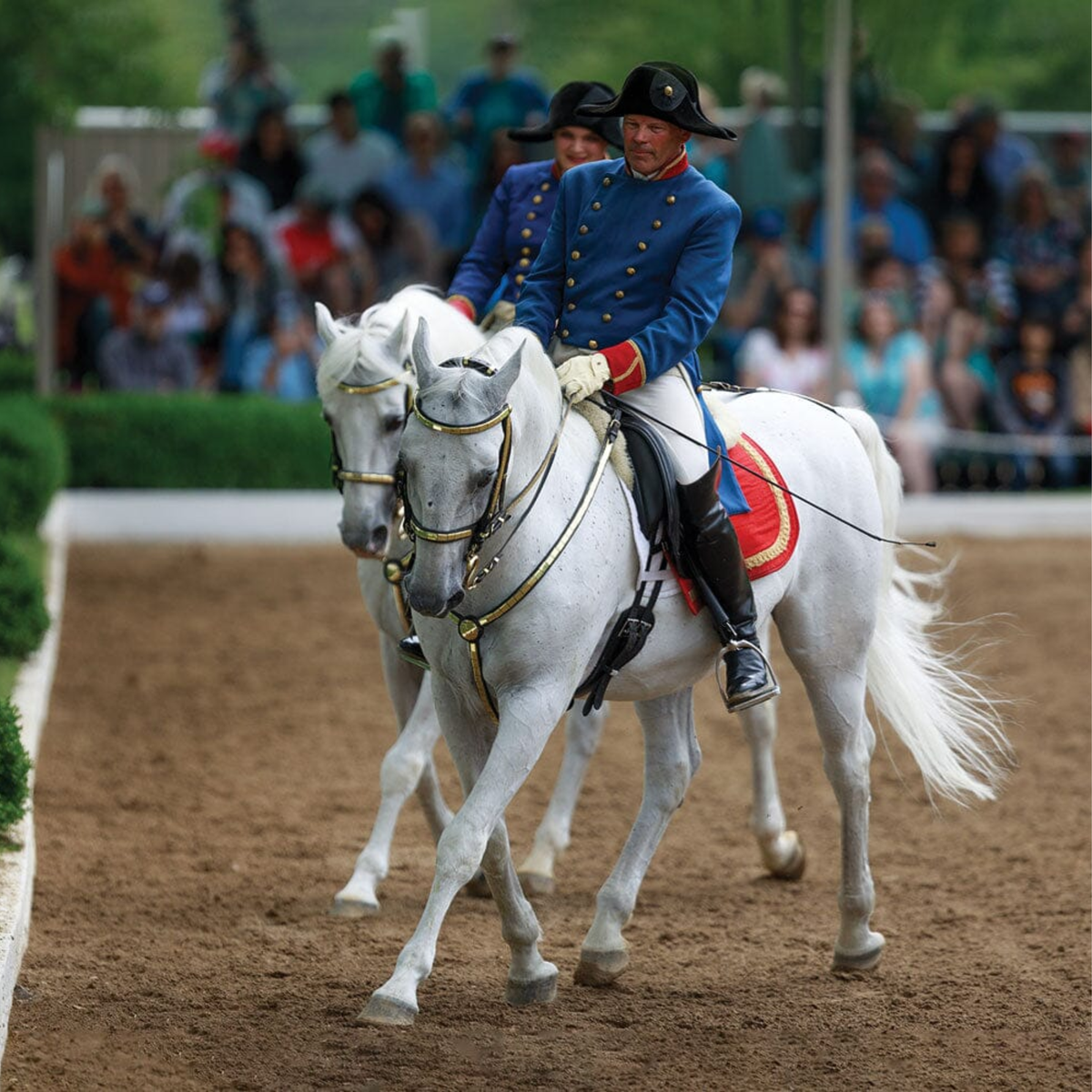Breyer Pluto Gratia Lipizzaner