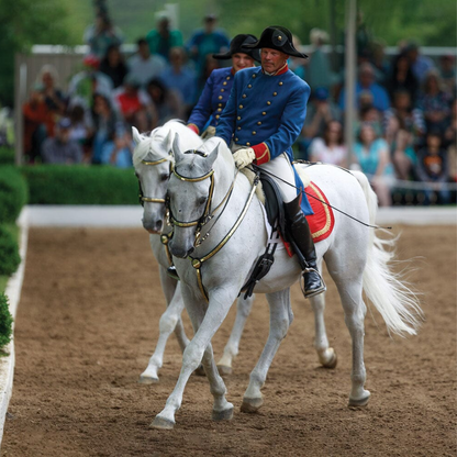 Breyer Pluto Gratia Lipizzaner