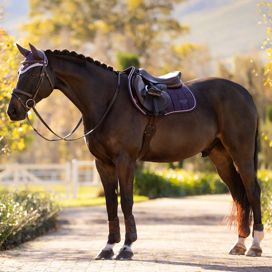 LeMieux Loire Classic Close Contact Square Pad, Juniper