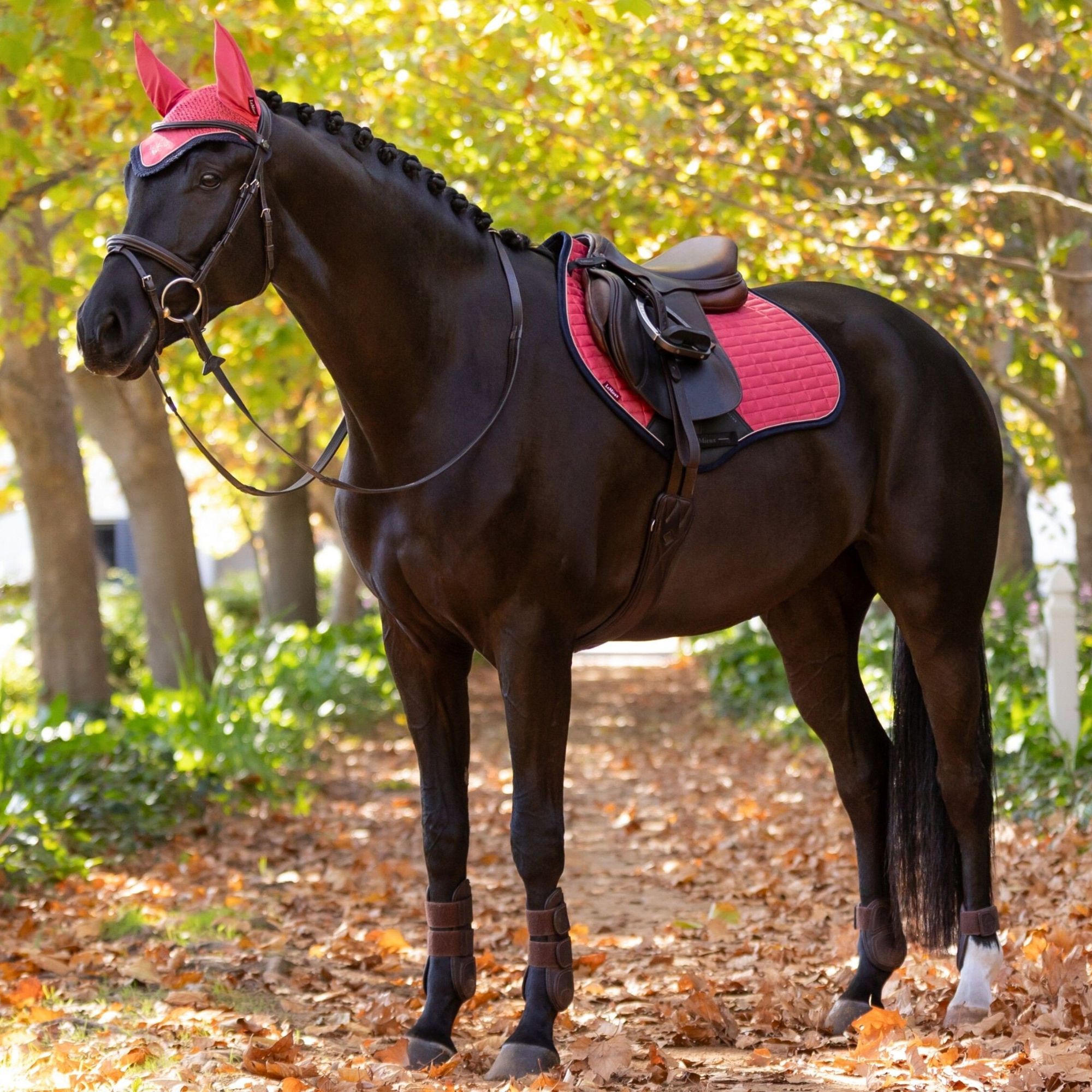 LeMieux Suede Close Contact Square Pad, Cranberry