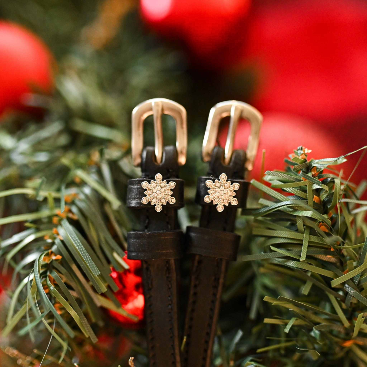 Mane Jane Snowflake charm spur straps.
