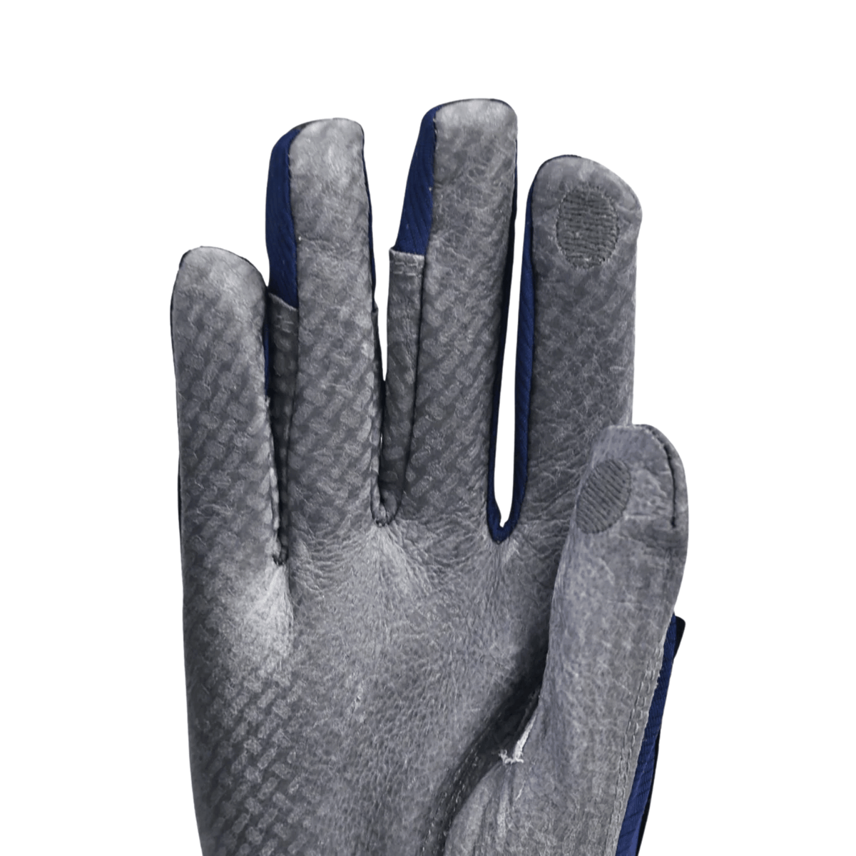 Gray glove with blue accents on a white background