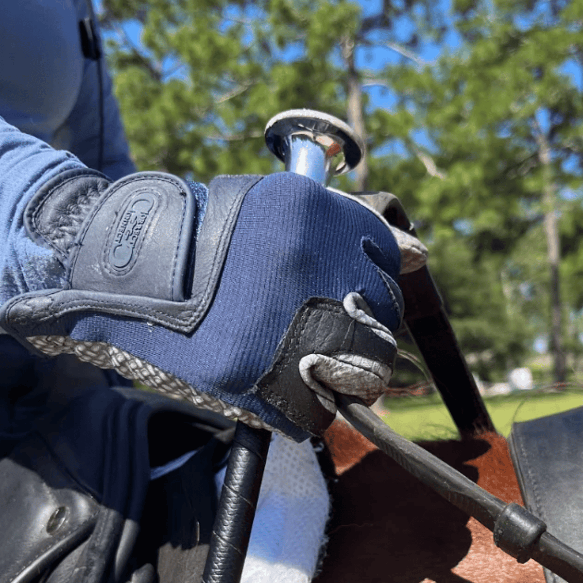 Close-up of a gloved hand holding a whip on a horse, with trees in the background.