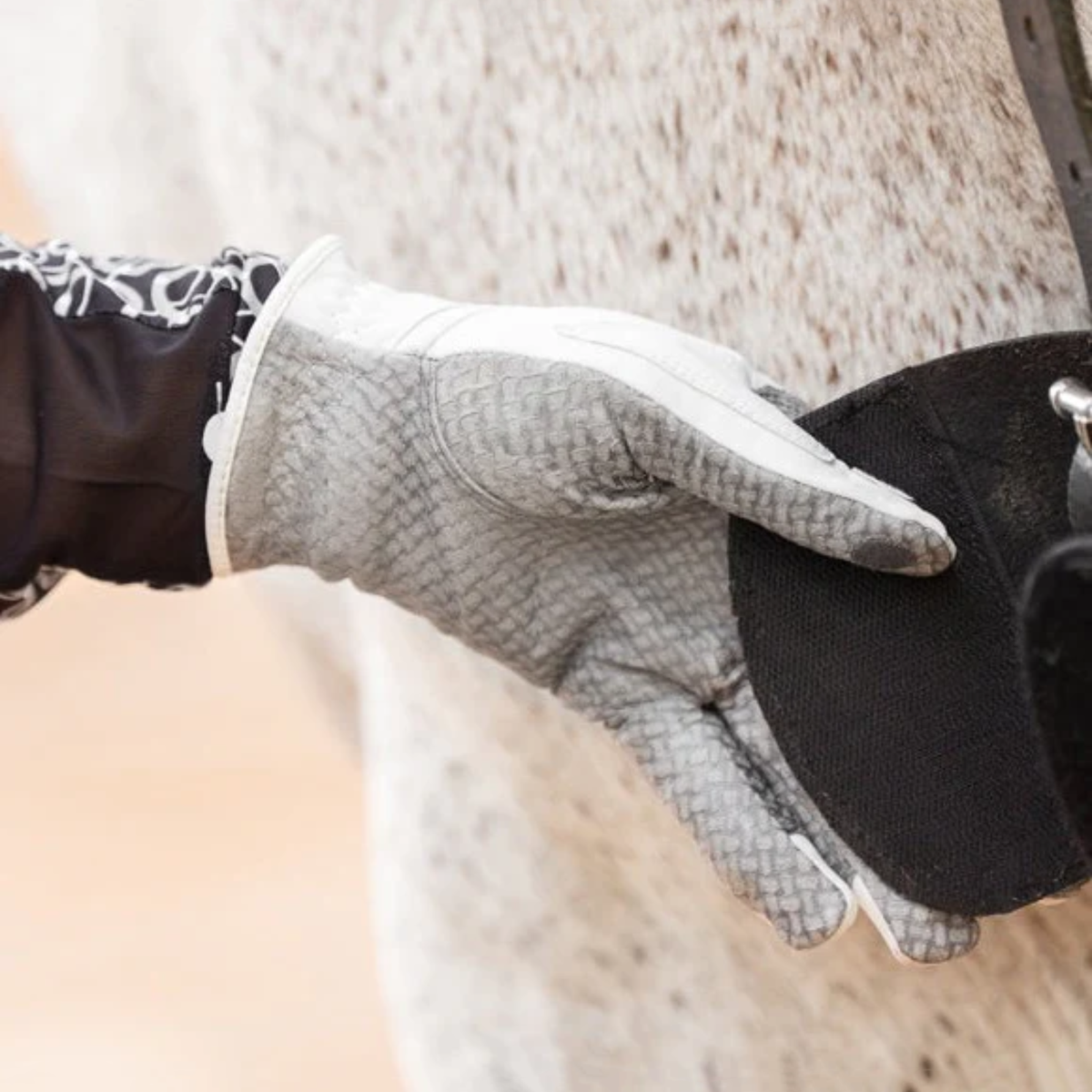 Person wearing a gray glove applying black leather conditioner to a horse&