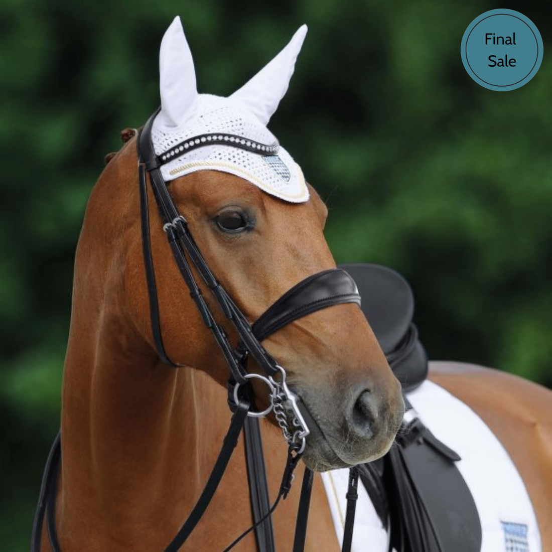 Passier Atlas Double Bridle