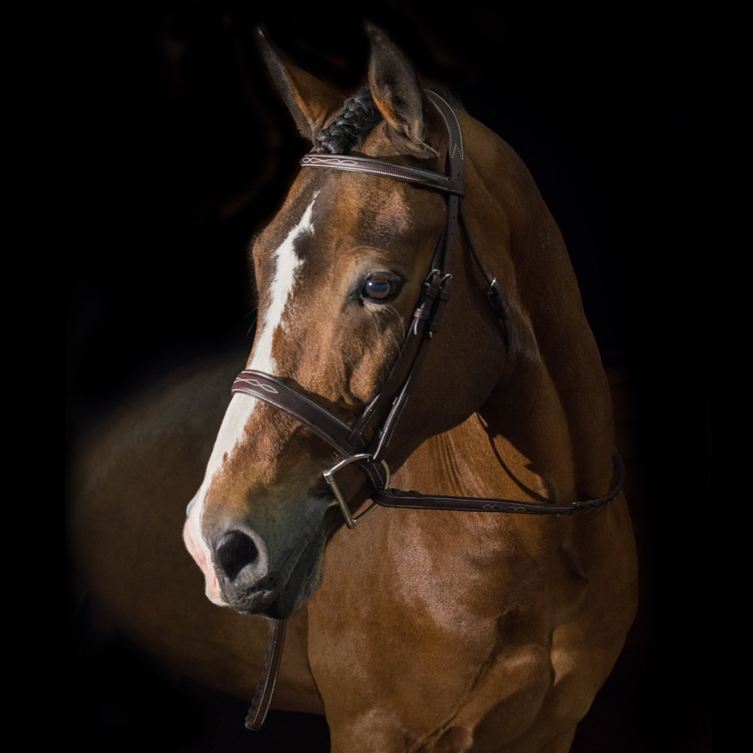 Pessoa PRO Fancy Stitched Raised WIDE Noseband Bridle