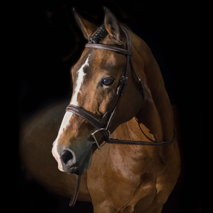Pessoa PRO Fancy Stitched Raised WIDE Noseband Bridle