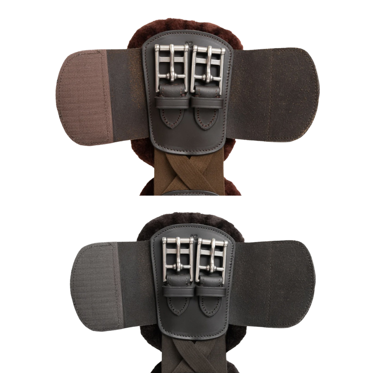 Closeup of the short girth buckles.