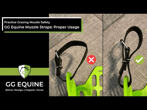 GreenGuard Muzzle Replacement Straps (Pair)