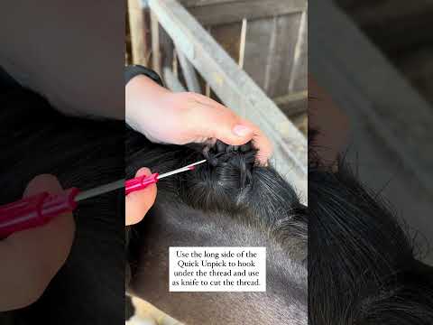 Smart Grooming video showing how to use their Quick Unpick to easily remove a horses braids. 
