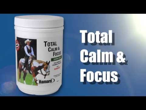 Total Calm &amp; Focus
