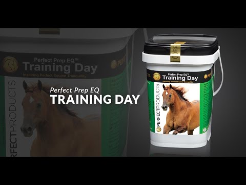 Perfect Prep EQ Training Day Calming Powder,  5lb