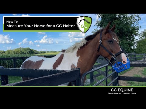 GreenGuard Mini &amp; Small Pony Halter