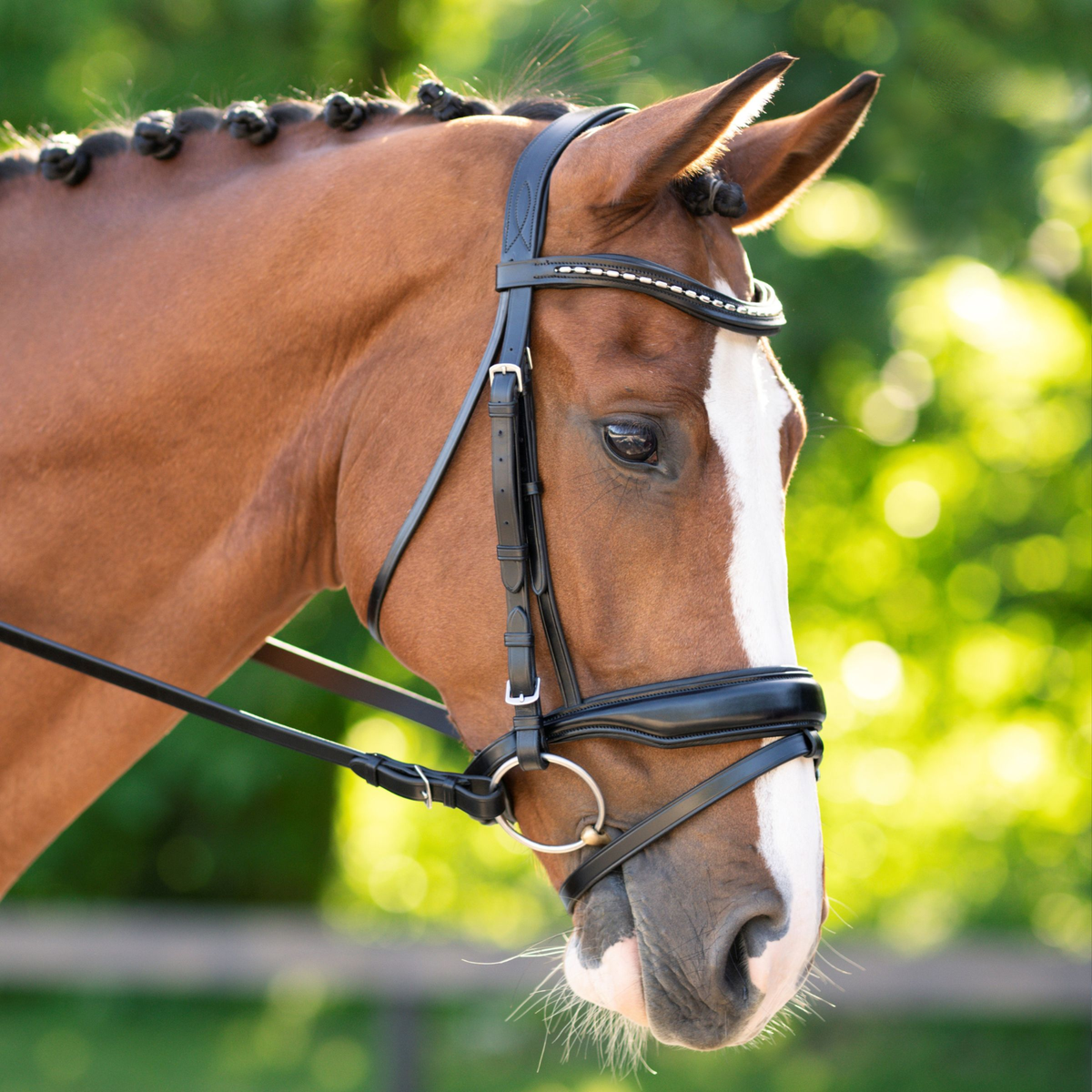 Red Barn Topline Bridle with Flash &amp; Crank