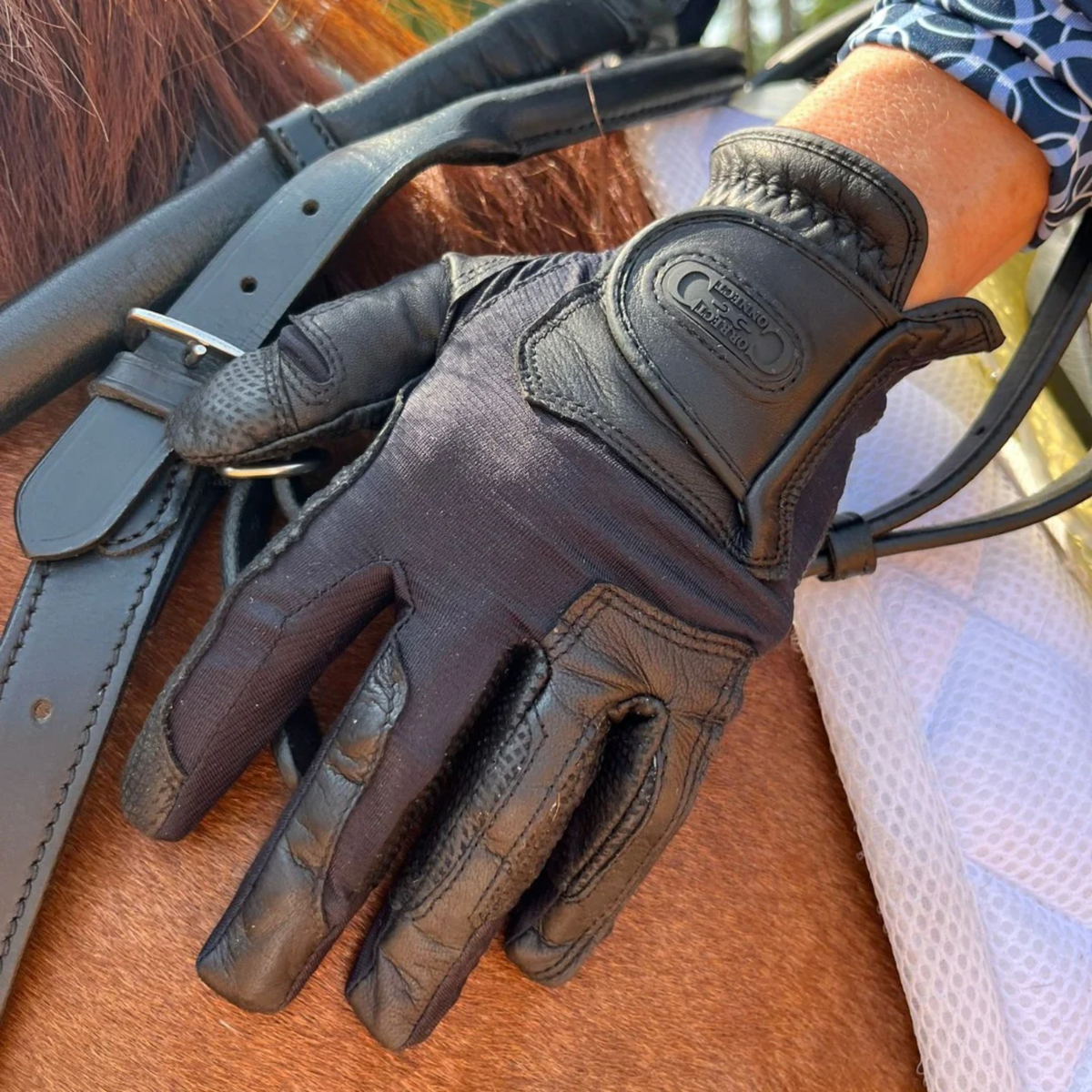 Close-up of a person wearing a black leather glove on a horse&