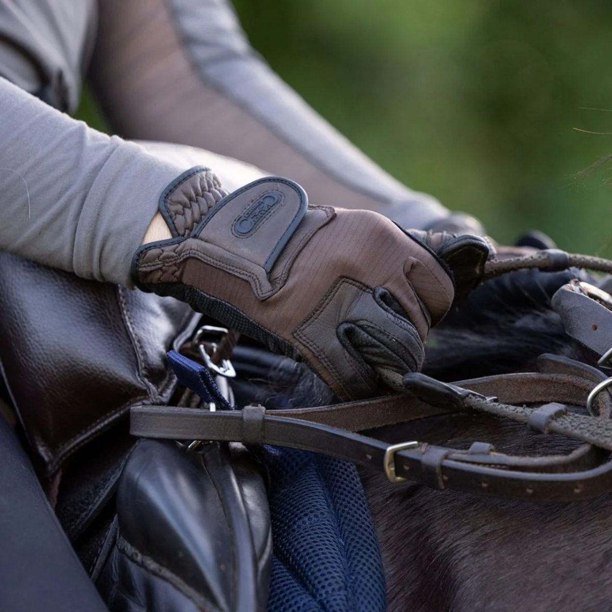 Close-up of a gloved hand holding a rein and hand attachment of the correct connect breastplate.