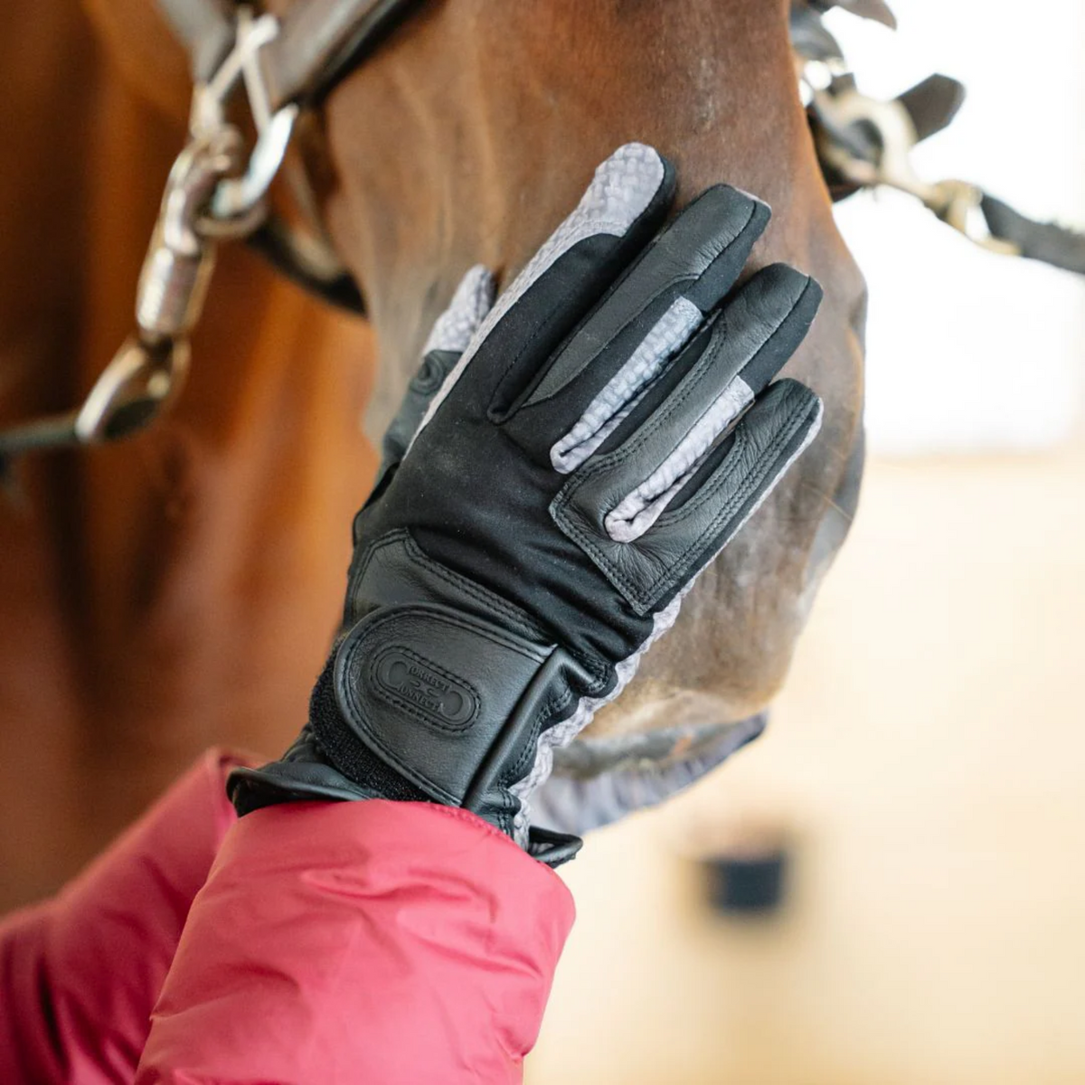 Black glove with white lining held by a person wearing a red jacket, with a horse in the background.