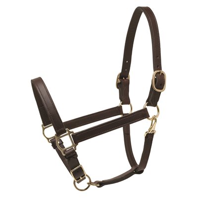 Perri's Deluxe Leather Turnout Halter