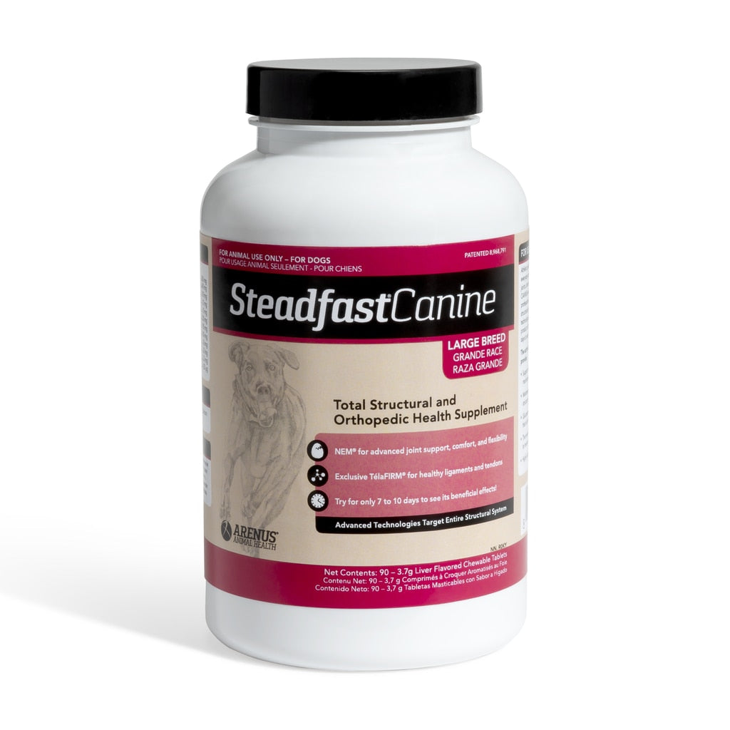 Steadfast Canine Large Dog,  90 Day