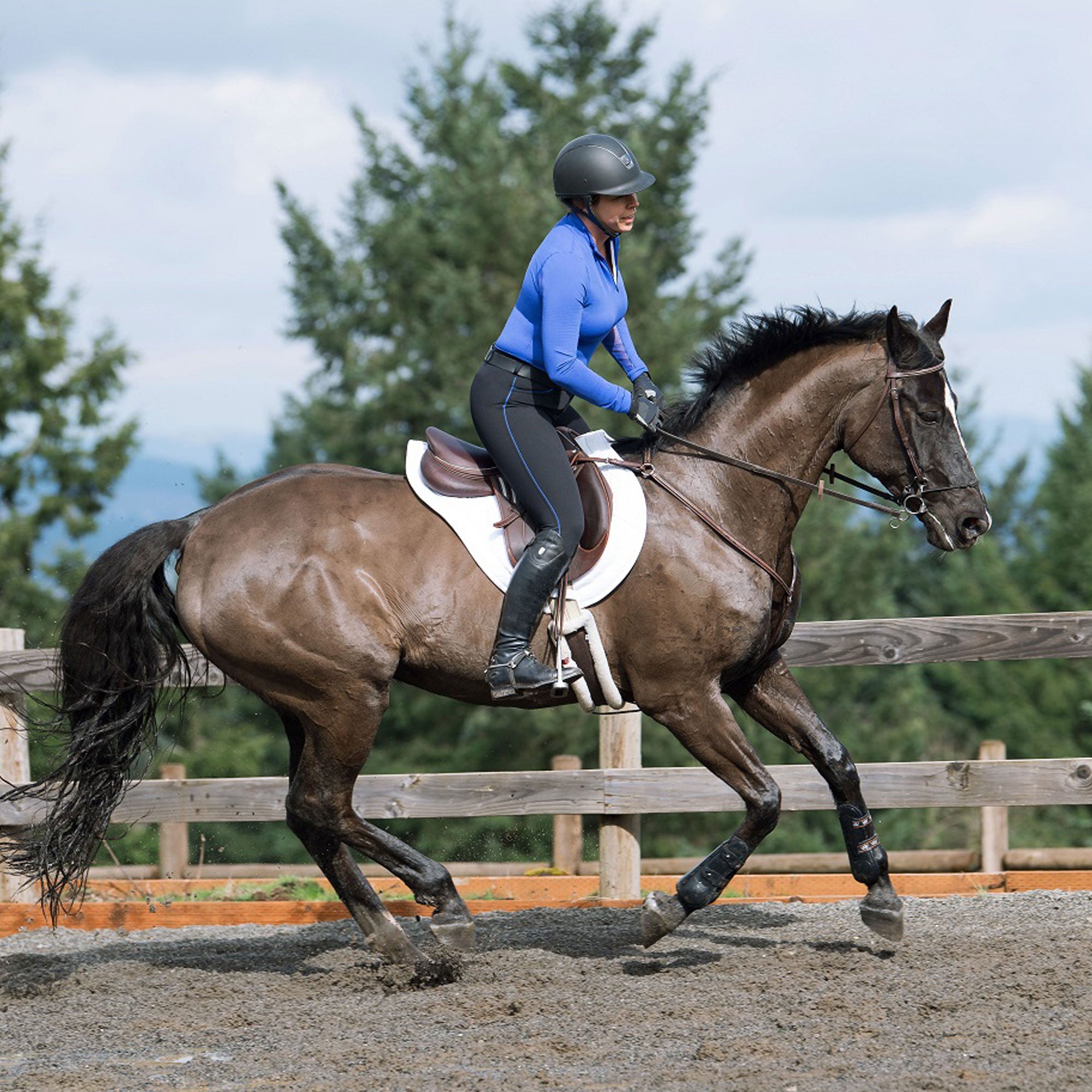 T3 TechQuilt Sport Saddle Pad with Non-Slip Lining