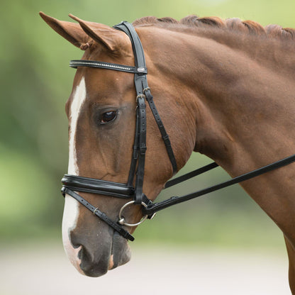 Passier Ingrid Klimke Snaffle Bridle