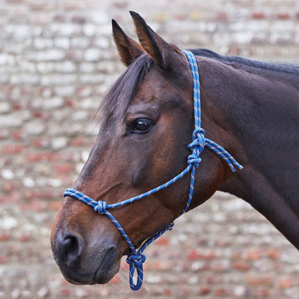 Waldenhausen Knotted Halter