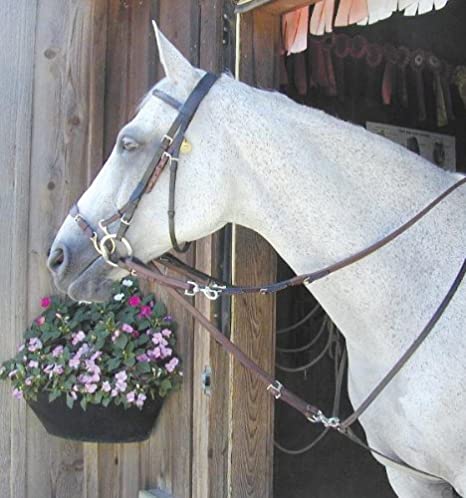 German Martingale with Reins