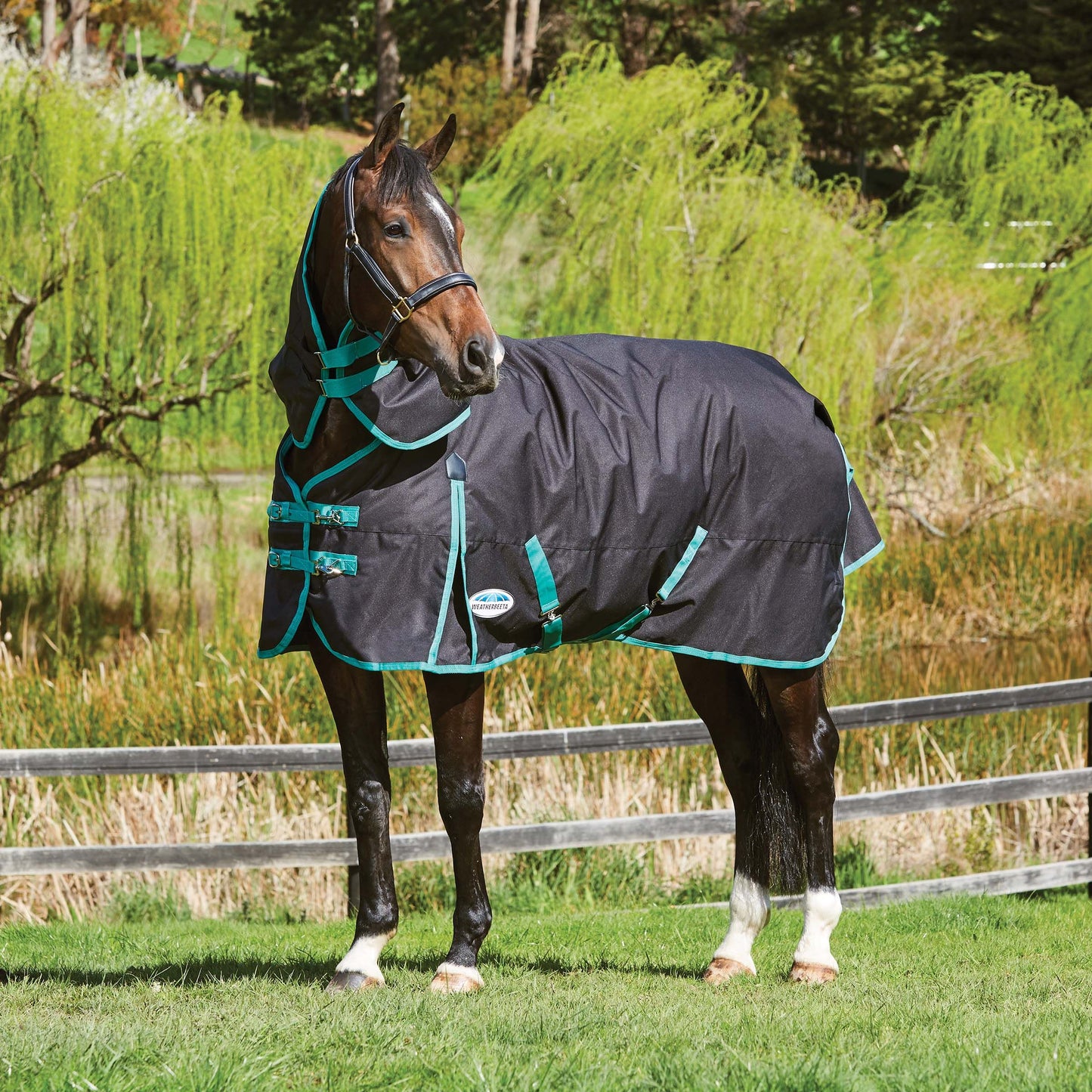 Weatherbeeta Green-Tec 900D Detach-A-Neck Turnout,  Medium