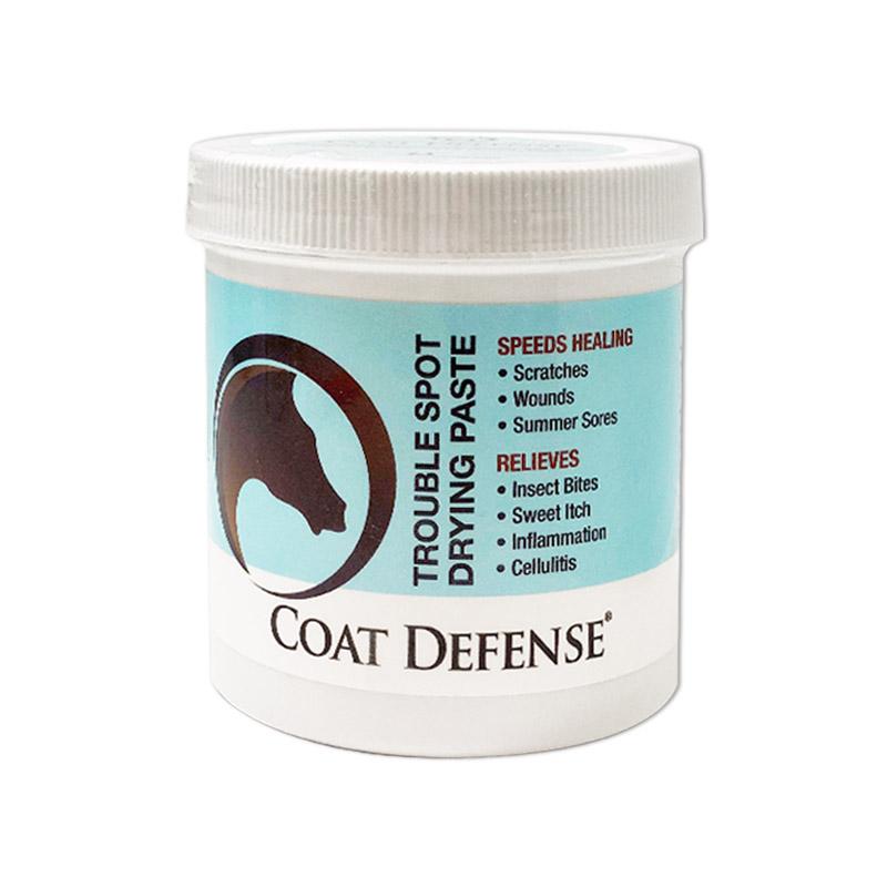 Coat Defense Trouble Spot Drying Paste, 10 oz