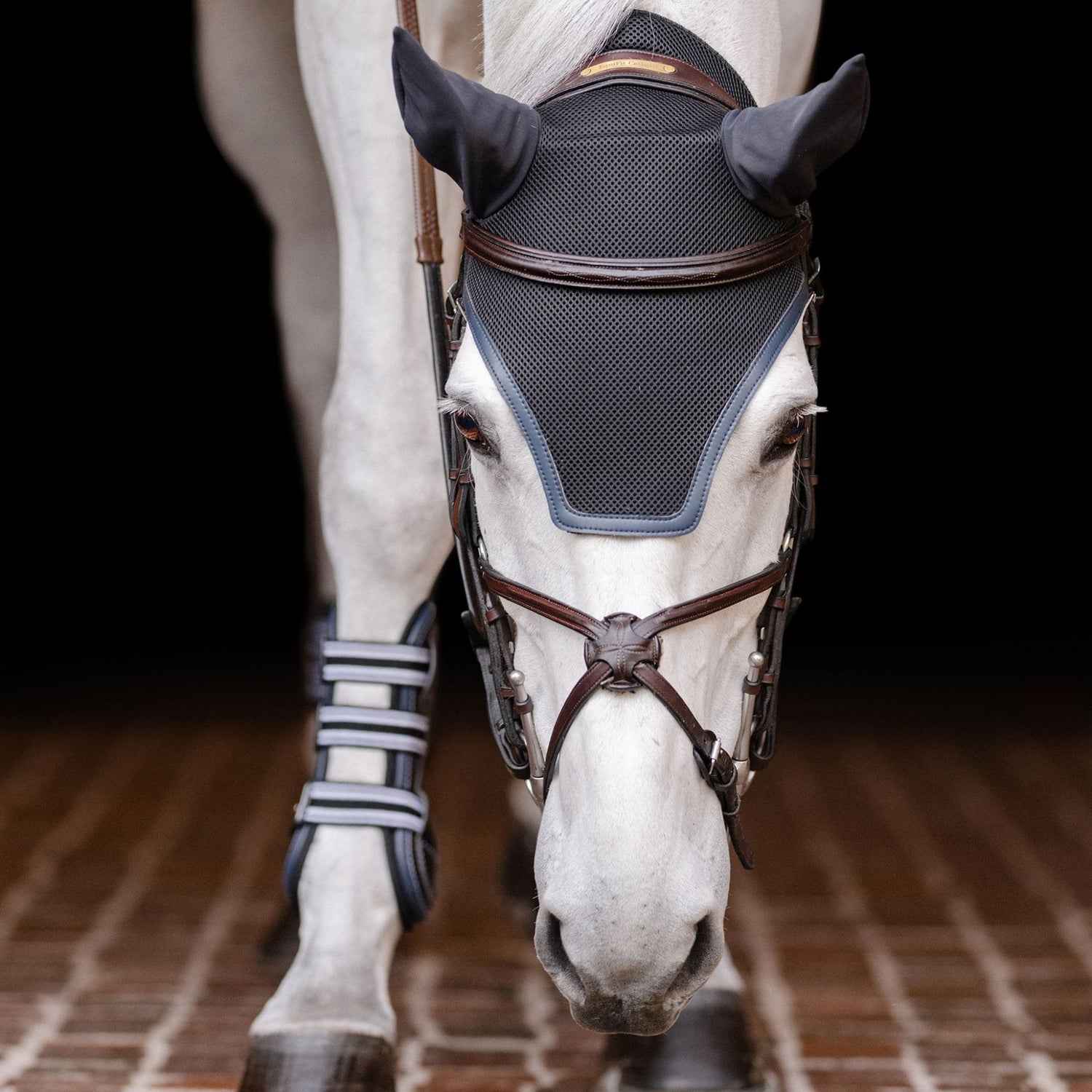A horse wearing an EquiFit Silent Fit Ear Bonnet, which is black with brown straps and has foam lining.