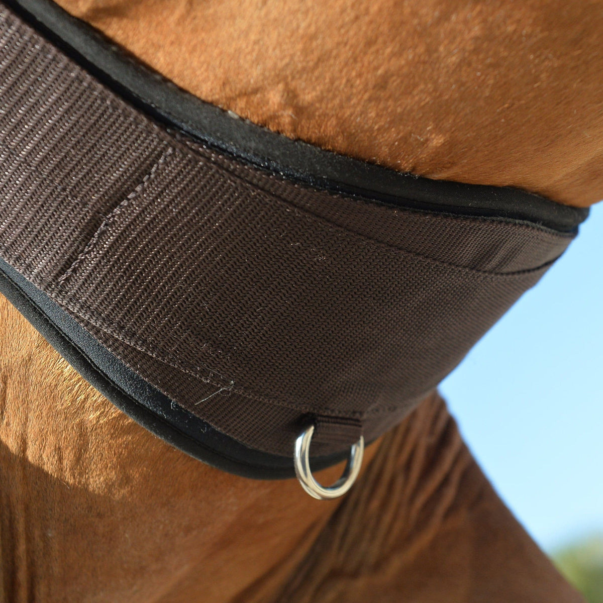 A brown EquiFit Essential Schooling Girth with a SmartFabric Liner, attached to a saddle on a white horse.