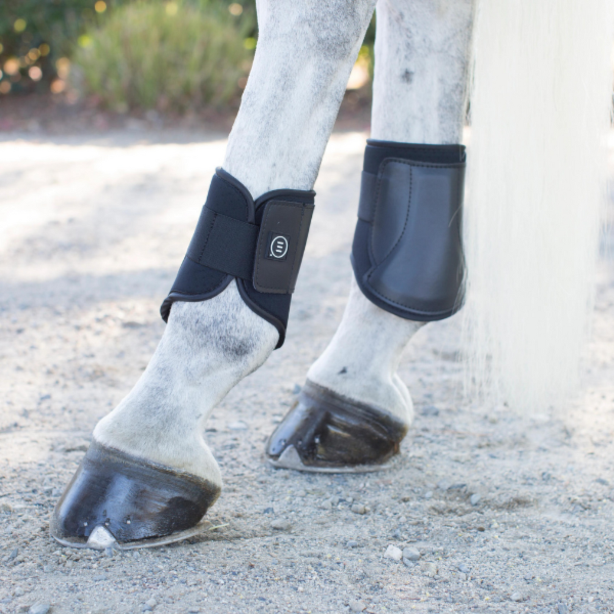 A hind boot on a horse&