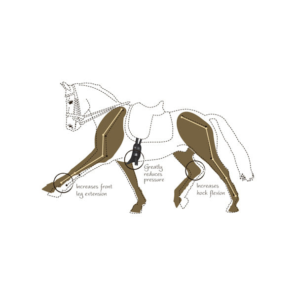 Fairfax Performance Dressage Girth Narrow Gauge