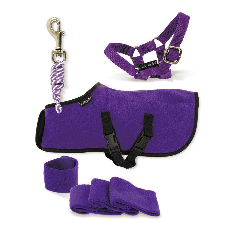 Crafty Ponies Fleece Rug Set &amp; Booklets