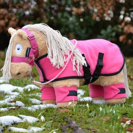Crafty Ponies Fleece Rug Set &amp; Booklets