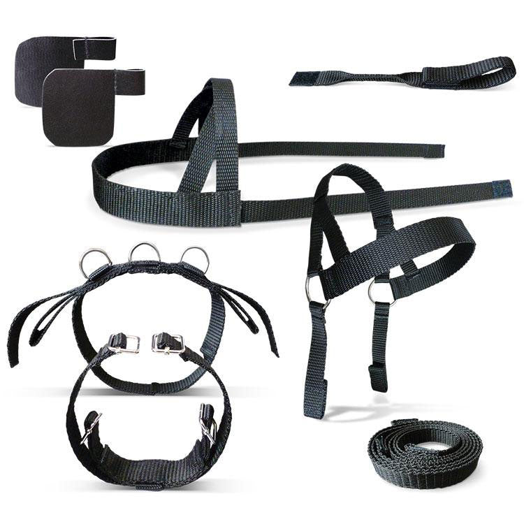 Crafty Ponies Driving Harness &amp; Booklet