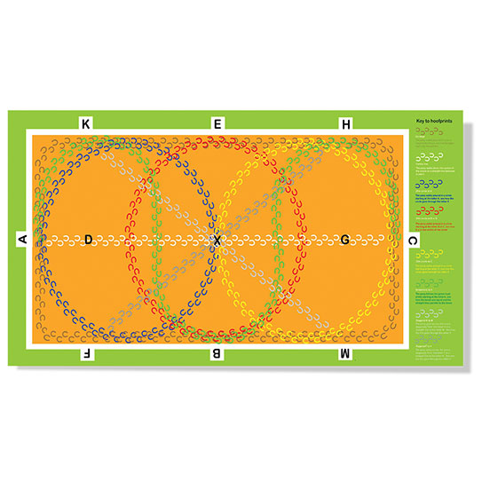 Crafty Ponies Dressage Arena Mat &amp; Booklet