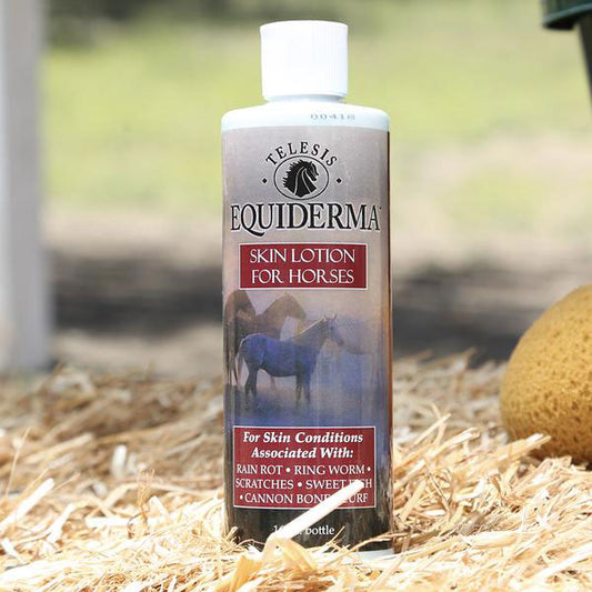 Equiderma Skin Lotion for Horses,  16oz