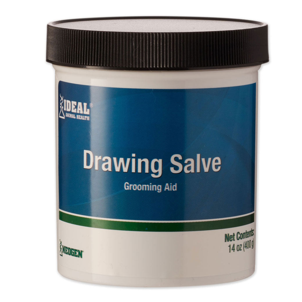 Ichthammol Drawing Salve 14oz